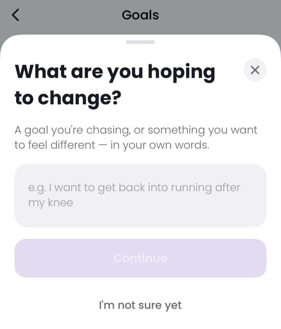 The Goals screen in Preffect asking what are you hoping to change, with a plain text box and the example goal, I want to get back into running after my knee.